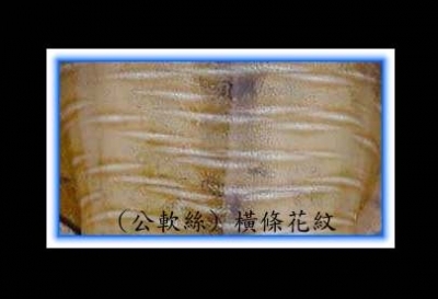 公_jpg.jpg