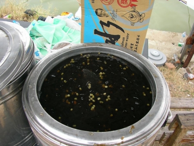 tn_SANY0067.JPG