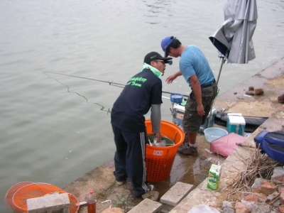 tn_SANY0083.JPG