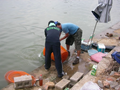 tn_SANY0084.JPG