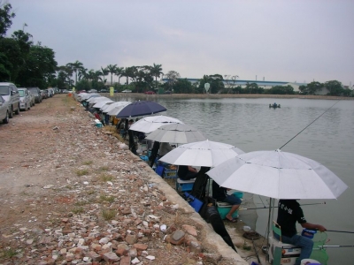 tn_SANY0097.JPG