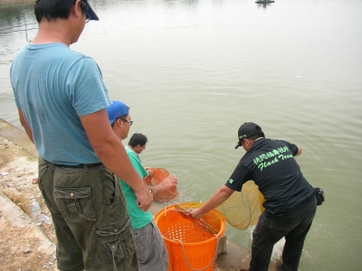 tn_SANY0104.JPG