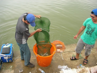 tn_SANY0110.JPG