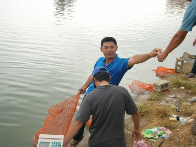 tn_SANY0116.JPG