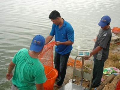 tn_SANY0118.JPG